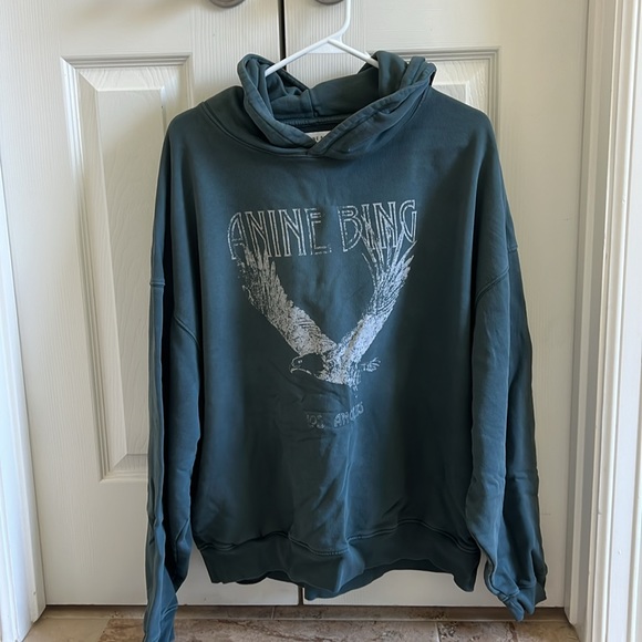 Anine bing ash hoodie faded emerald green size L - Picture 5 of 6